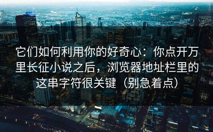 它们如何利用你的好奇心：你点开万里长征小说之后，浏览器地址栏里的这串字符很关键（别急着点）
