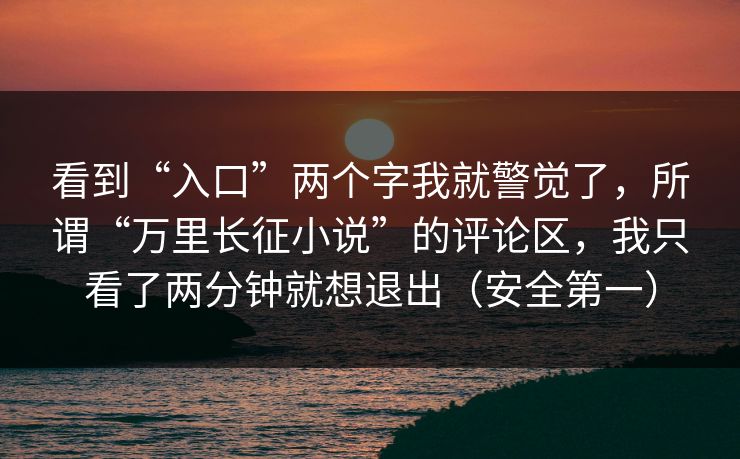 看到“入口”两个字我就警觉了，所谓“万里长征小说”的评论区，我只看了两分钟就想退出（安全第一）